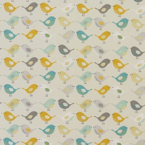 Birds