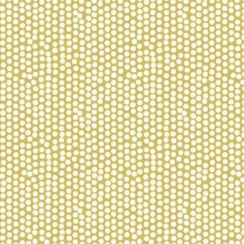 Spotty Ochre Stock