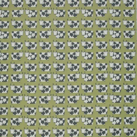 Moo Moo Kiwi Stock