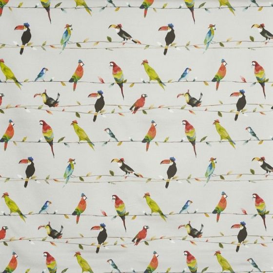 Toucan Talk Tropical 522 Stock