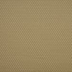 Adriana in Caramel by Beaumont Textiles