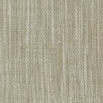 Biarritz in Hazel by Clarke and Clarke