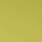 Spectrum in Chartreuse 06 by Clarke and Clarke