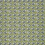 Moo Moo Kiwi Stock
