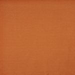 Blythe in Tangerine by Prestigious Textiles