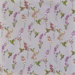 Humming Bird in Rose Quartz by Prestigious Textiles