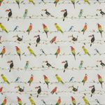 Toucan Talk Tropical 522 Stock