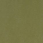 Alora in Moss 41 by Studio G Fabric