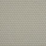 Achilles in Macadamia by Beaumont Textiles