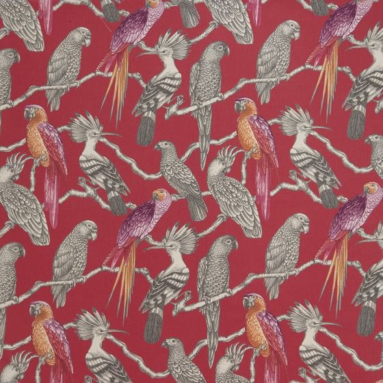 Aviary Curtain Fabric in Pomegranate