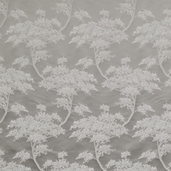 Japonica Silver Stock