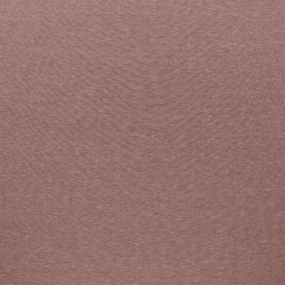 Sahara