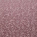 Siam Heather Stock