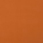 Carrera in Burnt Orange by Fryetts Fabrics