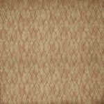 Afterglow in Umber by Prestigious Textiles