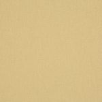 Altea in Straw by Prestigious Textiles