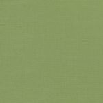 Geneva 2854 in Grass by Villa Nova Fabrics