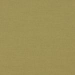 Geneva 2854 in Pear by Villa Nova Fabrics
