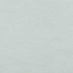 Tanami Extra Wide in Egg Shell 20 by Villa Nova Fabrics
