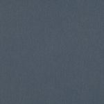 Torrin Extra Wide in Ink 02 by Villa Nova Fabrics