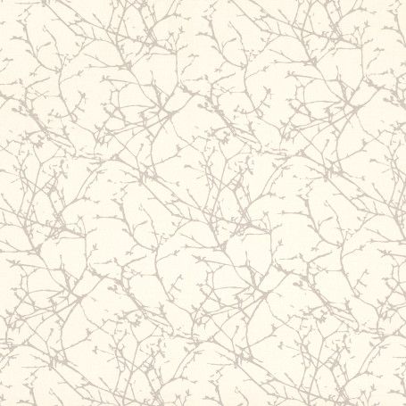 Acacia