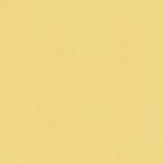 Linara FR in Quince by Romo Fabrics
