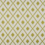 Thrill in Lime by Beaumont Textiles