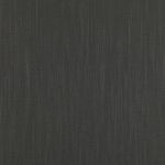 Asuri in Charcoal 19 by Romo Fabrics
