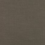 Asuri in Hazel 08 by Romo Fabrics