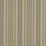 Kalahari Stripe Olive Stock