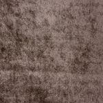 Velvet Fabric List 1 in Latte by Fryetts Fabrics