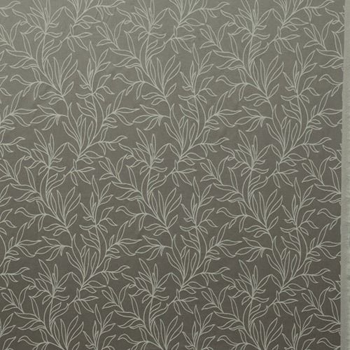 Siam Dove Grey Stock