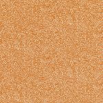 Kaiko in Pumpkin 06 by Romo Fabrics