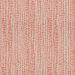 Ivan in Coral by Curtain Express