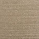 Edge in Honey by Prestigious Textiles