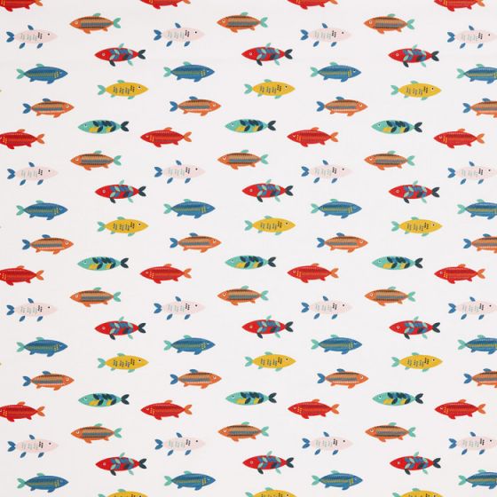 Mr Fish