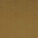 Brightwell in Sahara by iLiv Fabrics