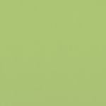 Iona Fabric List 2 in Lime by Hardy Fabrics