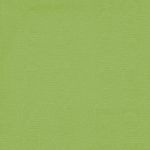 Melrose in Lime by Hardy Fabrics
