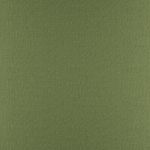 Moretta in Fern by Hardy Fabrics