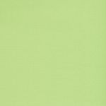 Outdor Fabric List 2 in Lime by Hardy Fabrics