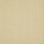 Staccato in Pear by Hardy Fabrics