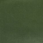 Velgrove Fabric List 2 in Ivy by Hardy Fabrics