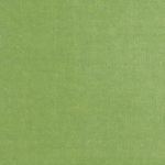Velgrove Fabric List 2 in Lime by Hardy Fabrics
