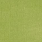 Venice Fabric List 3 in Pistachio by Hardy Fabrics