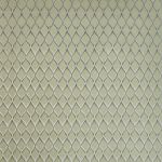 Mystique in Willow by Prestigious Textiles