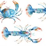 Crustaceans in Cobalt by Voyage Maison