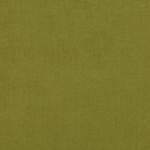 Atlantis EasyClean Chenille List 2 in Lettuce 20 by Villa Nova Fabrics