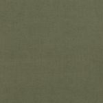 Atlantis EasyClean Chenille List 2 in Moss 22 by Villa Nova Fabrics