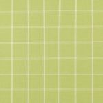 Chatham in Lime by Villa Nova Fabrics